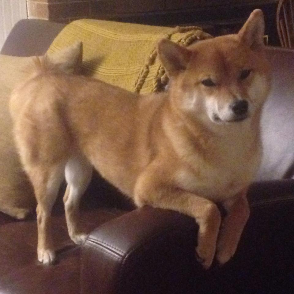 《【幕后揭秘】职业主播How技术打造爆款内容》，主播幕后运营