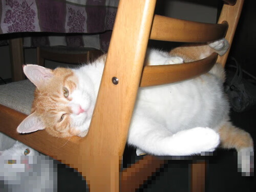 “破纪录：联盟新打破的史诗级成绩”，英雄联盟新破败