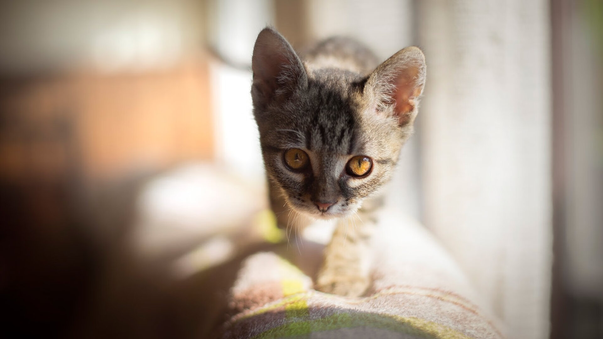 【快速比赛时代】限时攻守推动比赛紧凑进行的影响,限时赛要求